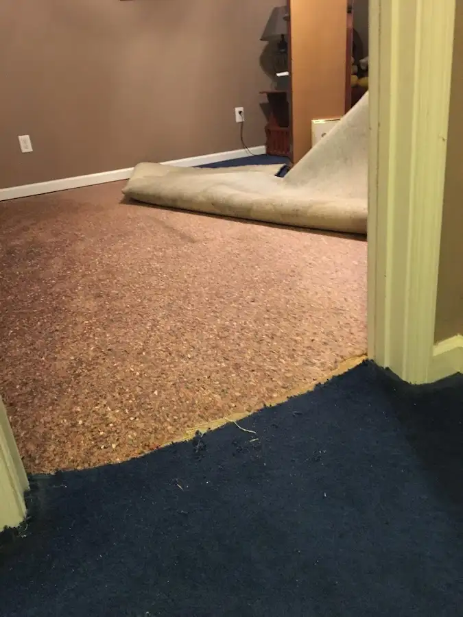 Carpet pad removal revealing water damage during Drying & Dehumidification in Cocoa